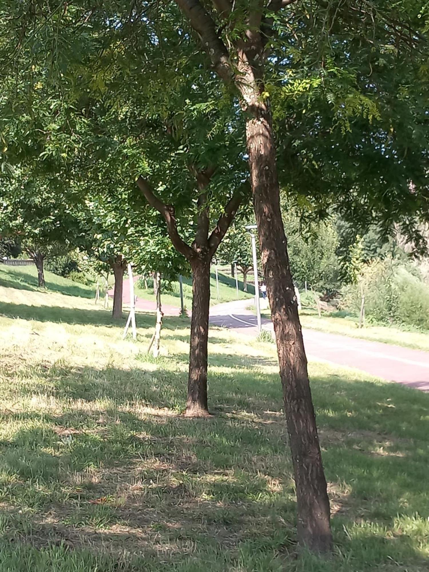 Holiday home Salgueiral Douro *